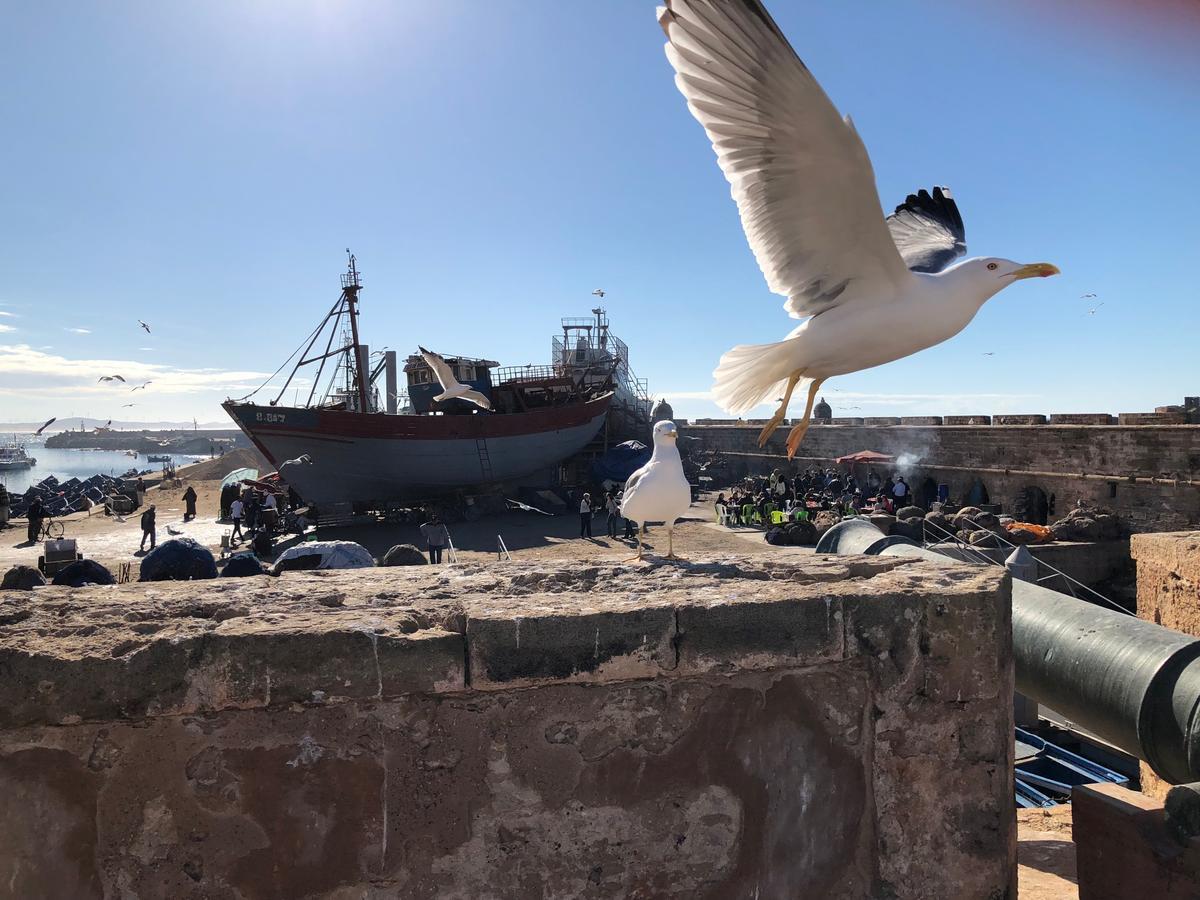 Riad De La Mer Suvayr Dış mekan fotoğraf